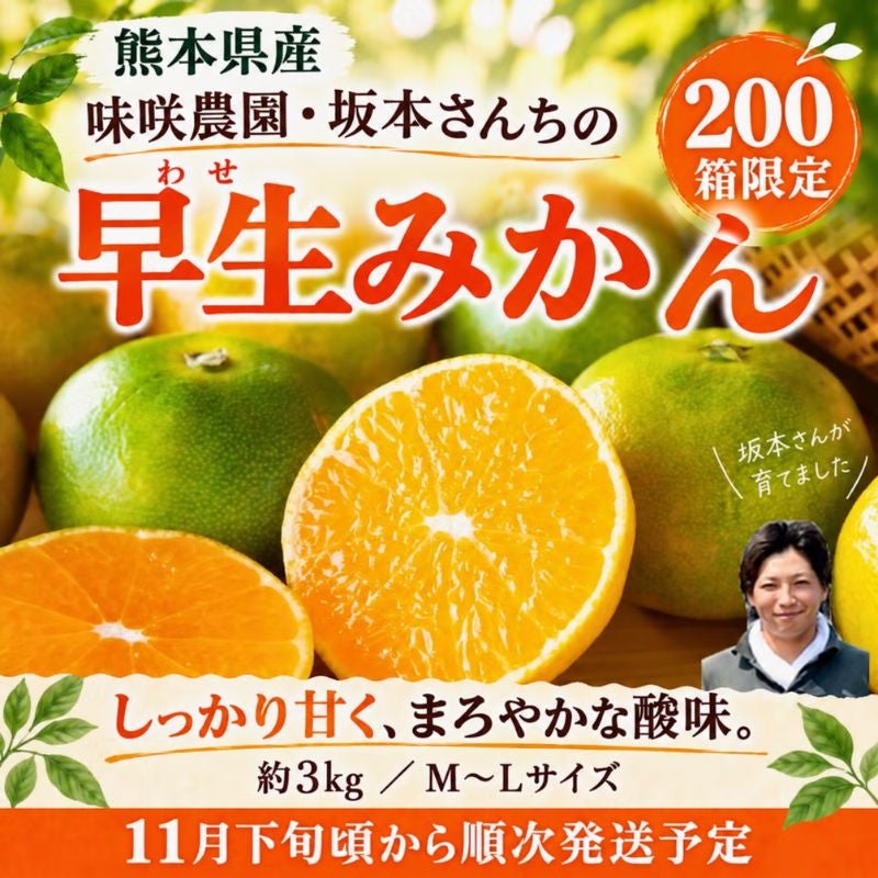 限定200セット】熊本県産 味咲農園・坂本さんちの 早生みかん（わせ