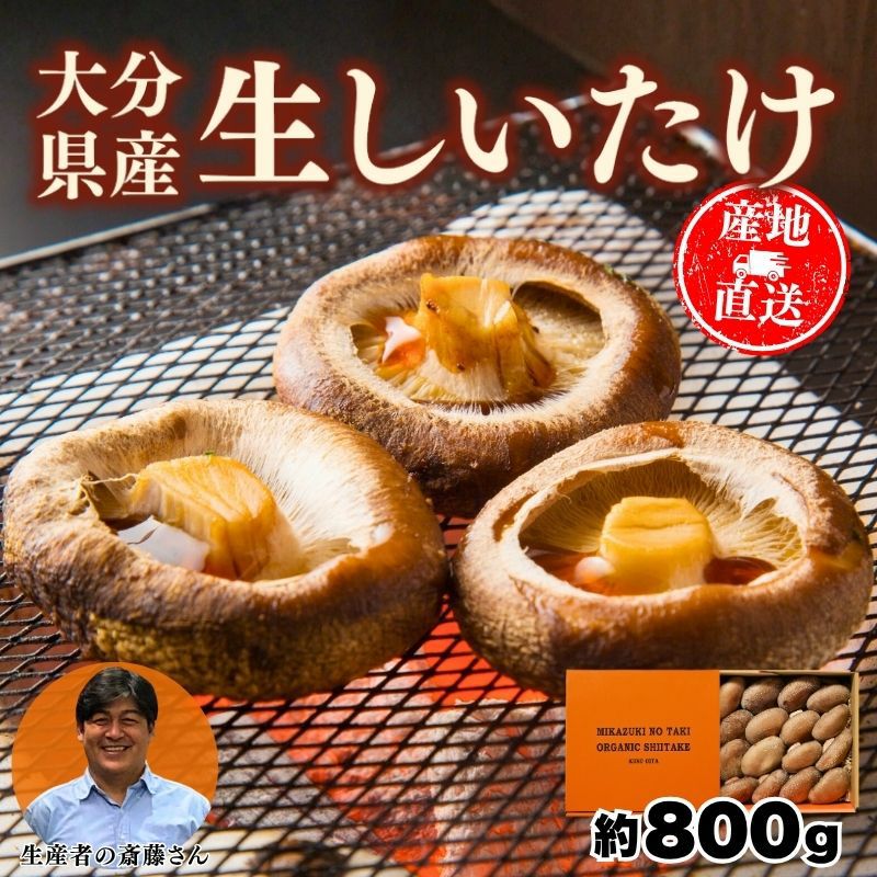 大分県産 斎藤さんちの生しいたけ 約800g 化粧箱入り 「三日月の滝