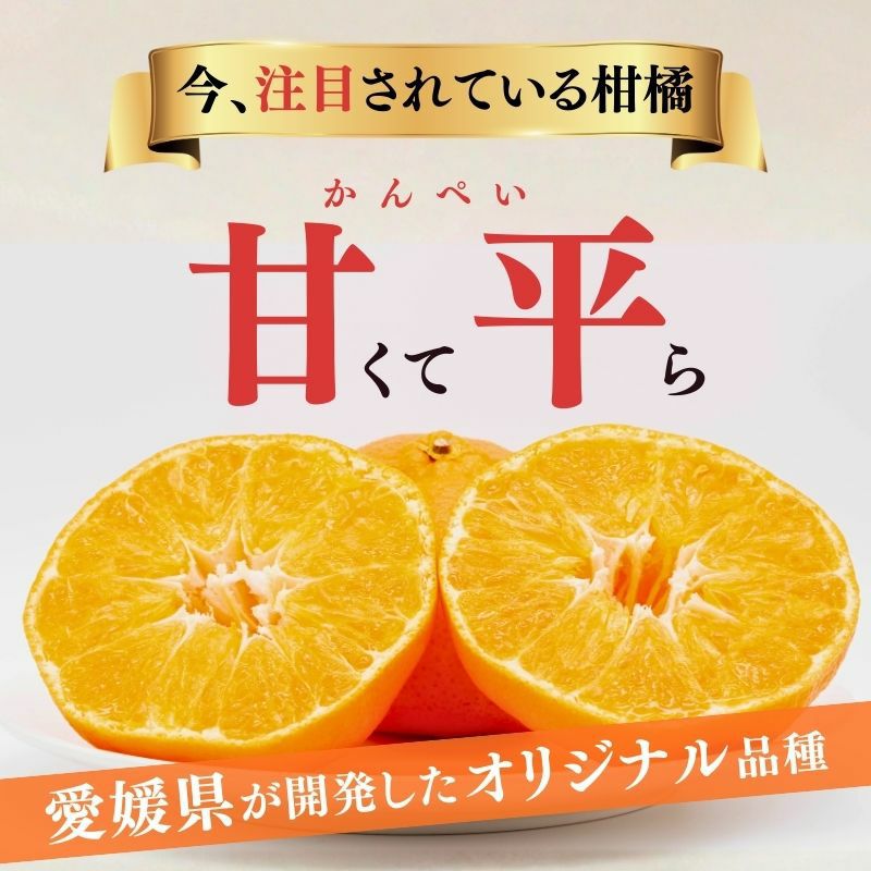 愛媛県産 甘平（かんぺい） 秀品 5kg前後 2L～4L 大玉 （約13～20玉