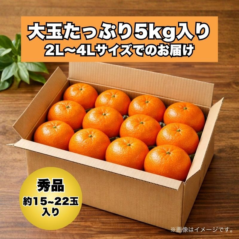 愛媛県産 甘平（かんぺい） 秀品 5kg前後 2L～4L 大玉 （約13～20玉