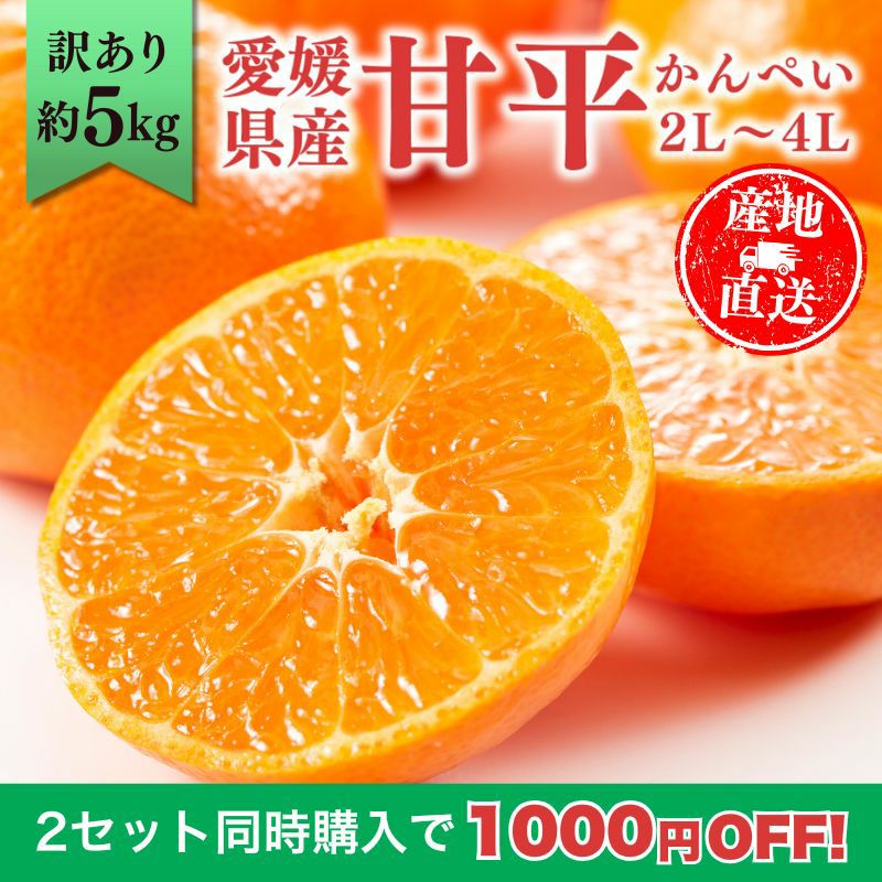 愛媛県産 甘平（かんぺい） 訳あり 5kg前後 2L～4L 大玉 （約13～20玉