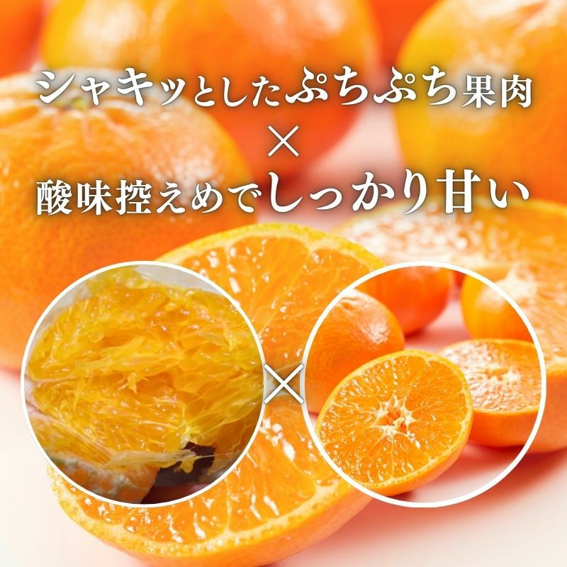 愛媛県産 甘平（かんぺい） 訳あり 5kg前後 2L～4L 大玉 （約13～20玉