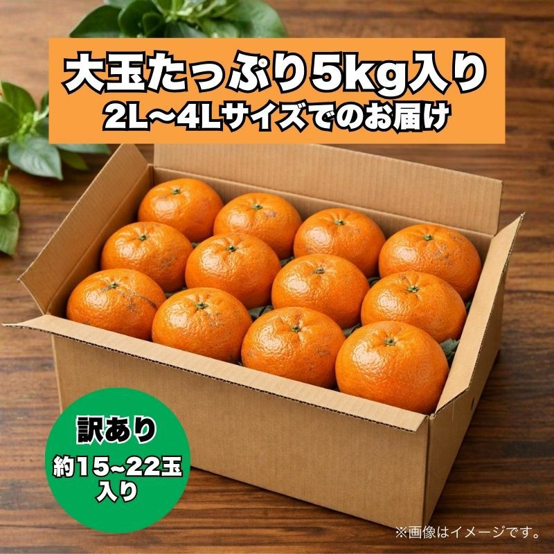 なの　愛媛県産　甘平　良品　　3L 15玉入り　5㌔箱×2箱 愛媛県産 甘平 良品 3Lサイズ 15玉入り 5㌔箱｜Yahoo!フリマ（旧PayPay