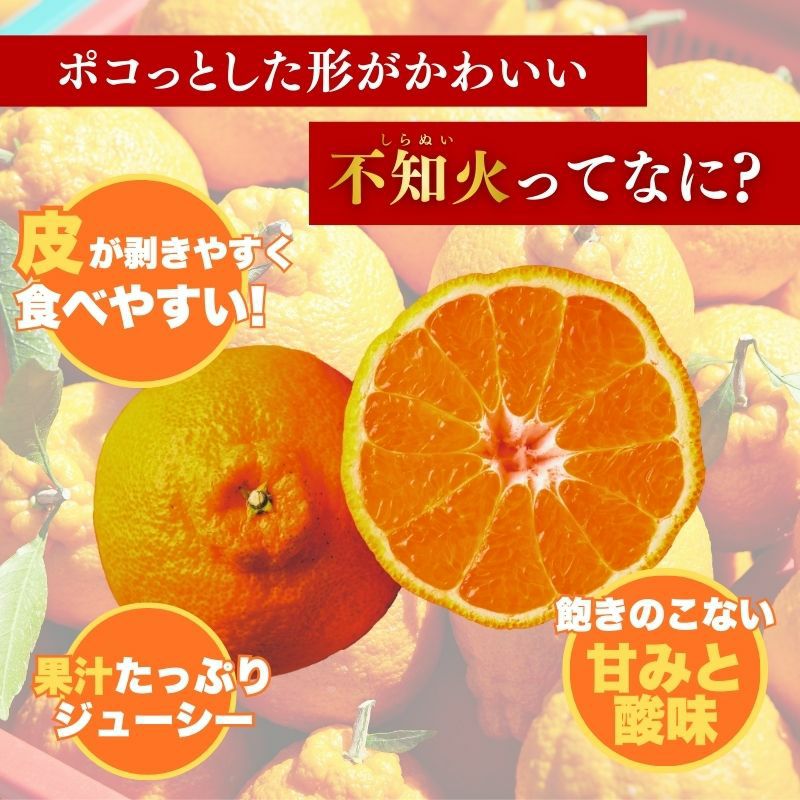 限定100セット】熊本県産 坂本さんちの不知火（しらぬい） 秀品 5kg