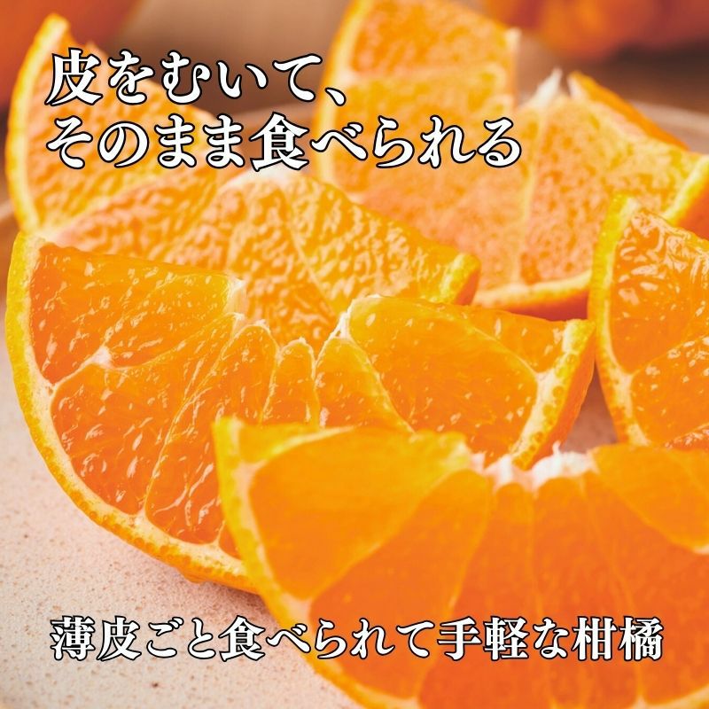 熊本県産不知火20キロ 不知火 JAくまもと 約5kg 12〜20玉 熊本県産 大玉 贈答規格 しらぬい
