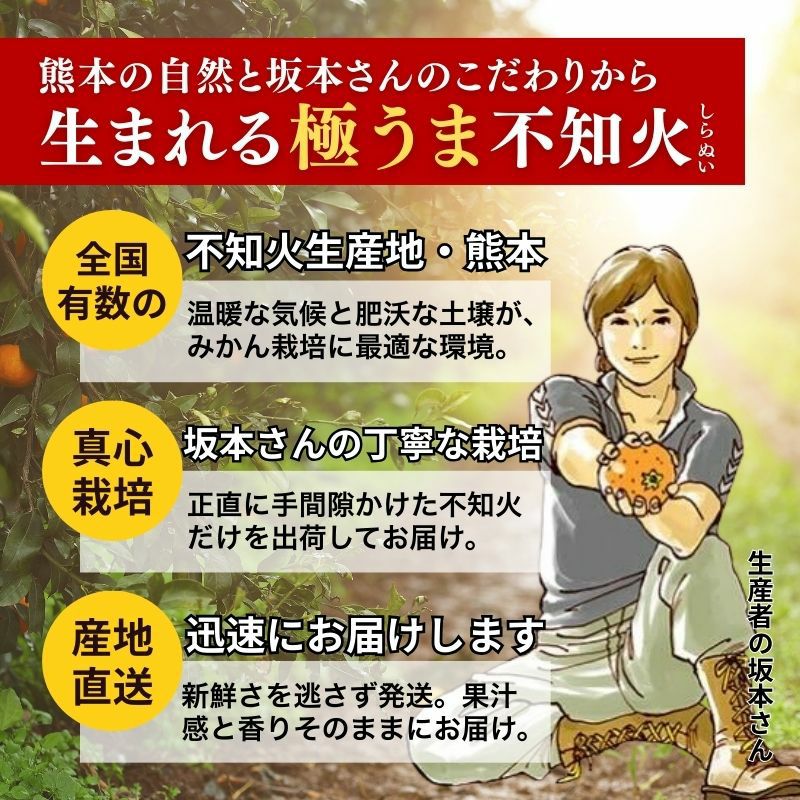 限定100セット】熊本県産 坂本さんちの不知火（しらぬい） 秀品 5kg