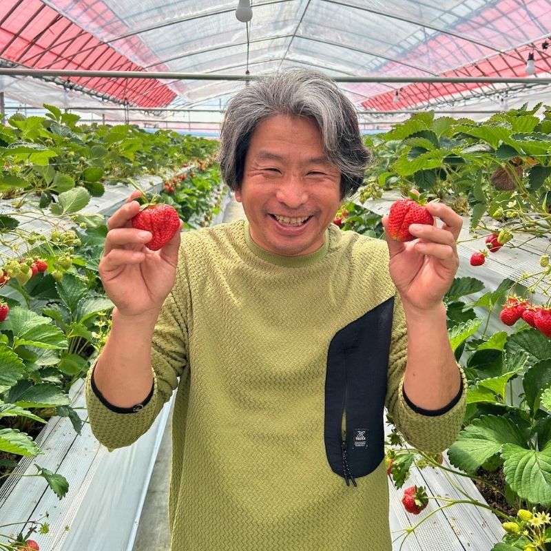 限定100セット】福岡県産 柴山さんちの大粒完熟あまおう いちご 約300g 限定100セット】福岡県産 柴山さんちの大粒完熟あまおう いちご 約300g