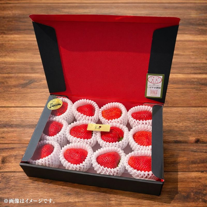 限定100セット】福岡県産 柴山さんちの大粒完熟あまおう いちご 約300g