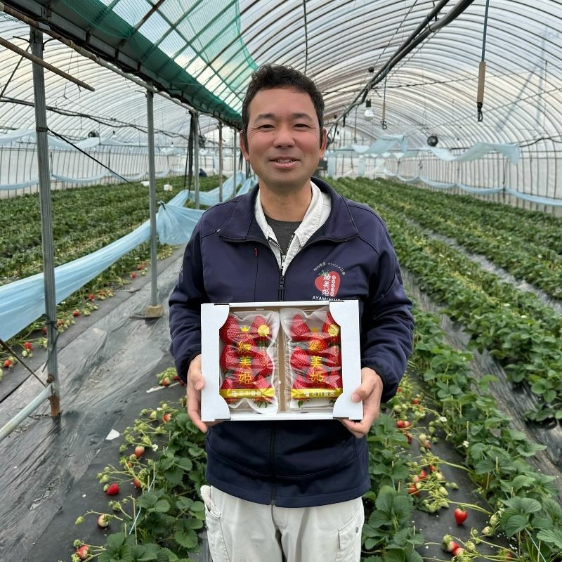 限定50セット】福岡県産 綾美姫（あやみひめ）DX平詰め 計540g（2