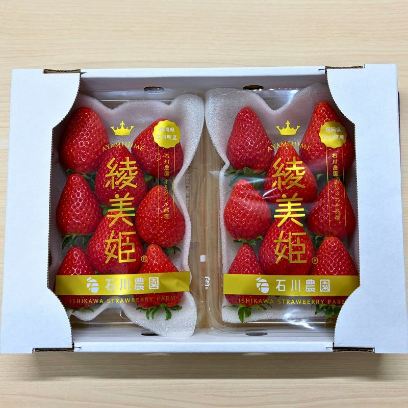 限定50セット】福岡県産 綾美姫（あやみひめ）DX平詰め 計540g（2