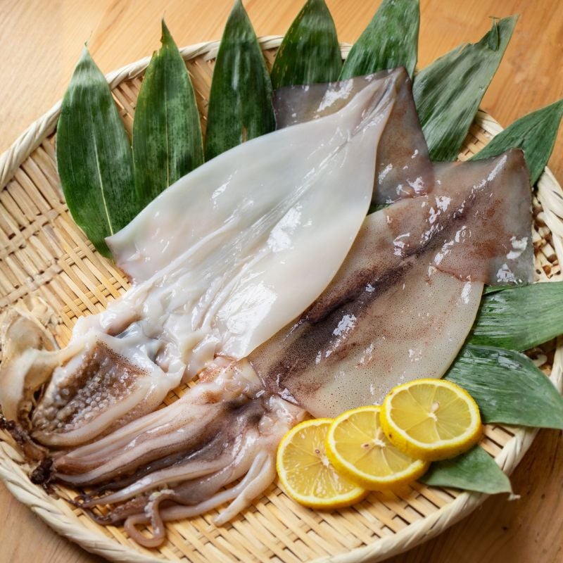 青森産 いか一夜干し 2枚入り 産直テーブル