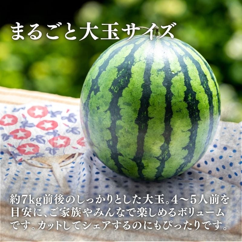 熊本県産 熊玉大王すいか 1玉 7kg前後 2L～3Lサイズ 産直テーブル
