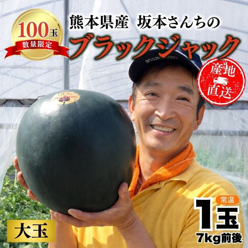 限定100玉】 熊本県産 坂本さんちの黒皮すいか 「ブラックジャック」 1