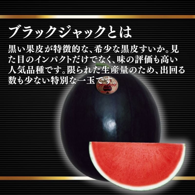 限定100玉】 熊本県産 坂本さんちの黒皮すいか 「ブラックジャック」 1