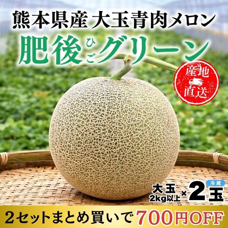 熊本県産 肥後グリーンメロン 2玉セット 計4kg以上 大玉青肉メロン