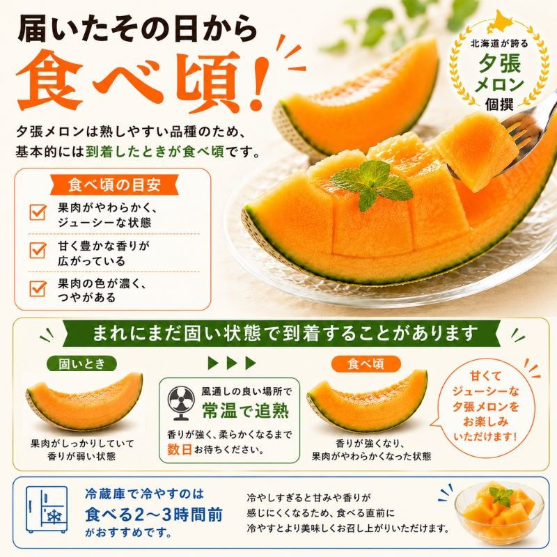 夕張個撰メロン 2玉入 計2.5kg以上 産直テーブル