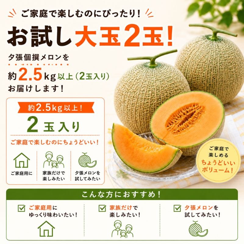 夕張個撰メロン 2玉入 計2.5kg以上 家庭用訳あり 産直テーブル