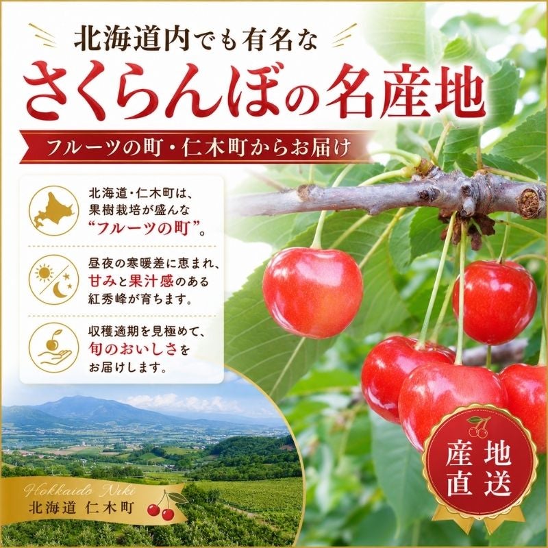 限定20セット】北海道仁木産 紅秀峰(べにしゅうほう) さくらんぼ L～2L