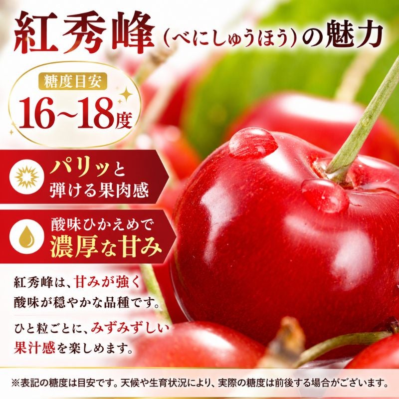 限定20セット】北海道仁木産 紅秀峰(べにしゅうほう) さくらんぼ L～2L
