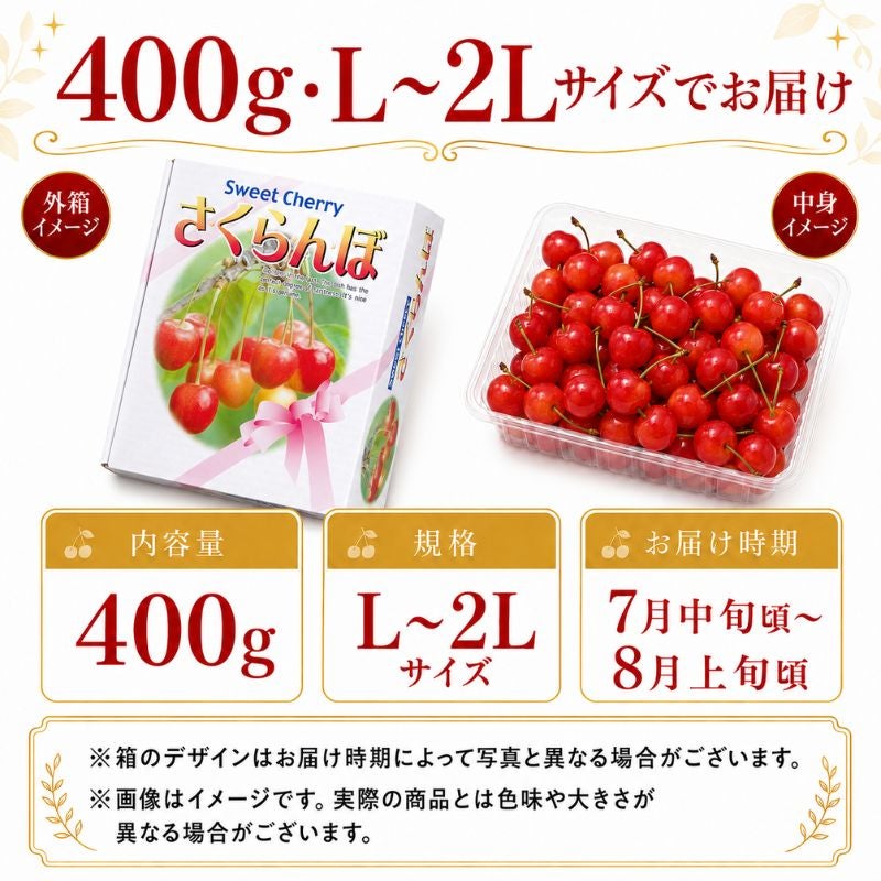 限定20セット】北海道仁木産 紅秀峰(べにしゅうほう) さくらんぼ L～2L