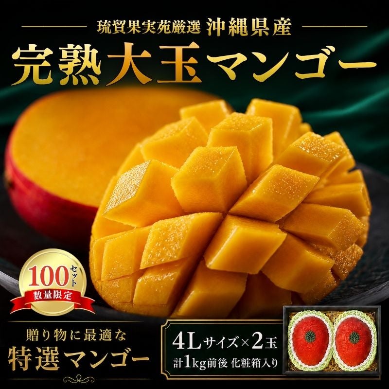 限定100セット】沖縄県産 完熟大玉マンゴー 4Lサイズ×2玉 計1kg前後