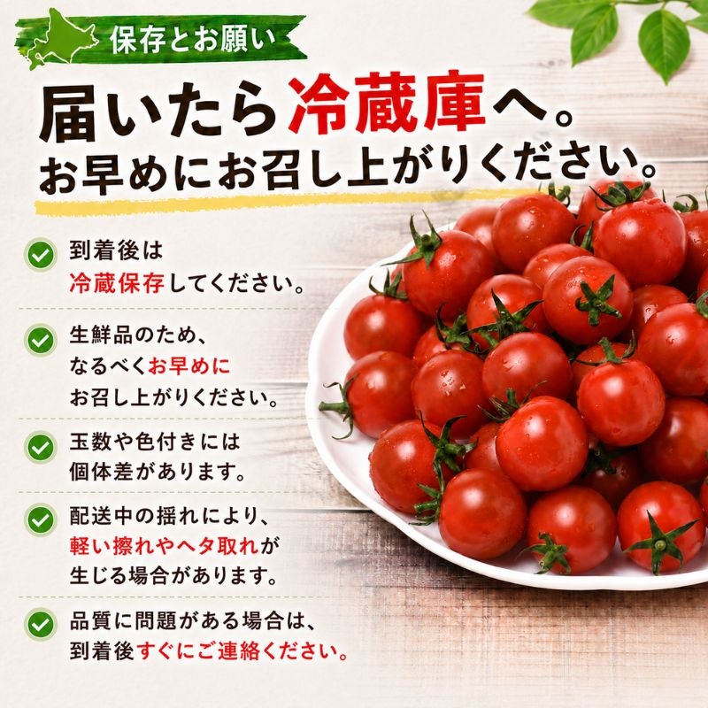 北海道産 あまえっこフルティカ ミニトマト 約800g （35～40粒前後