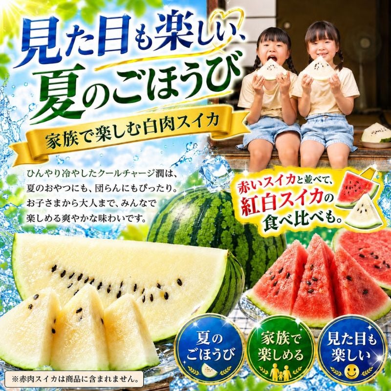 限定50玉】北海道産 白肉スイカ「クールチャージ潤（じゅん）」1玉 4kg