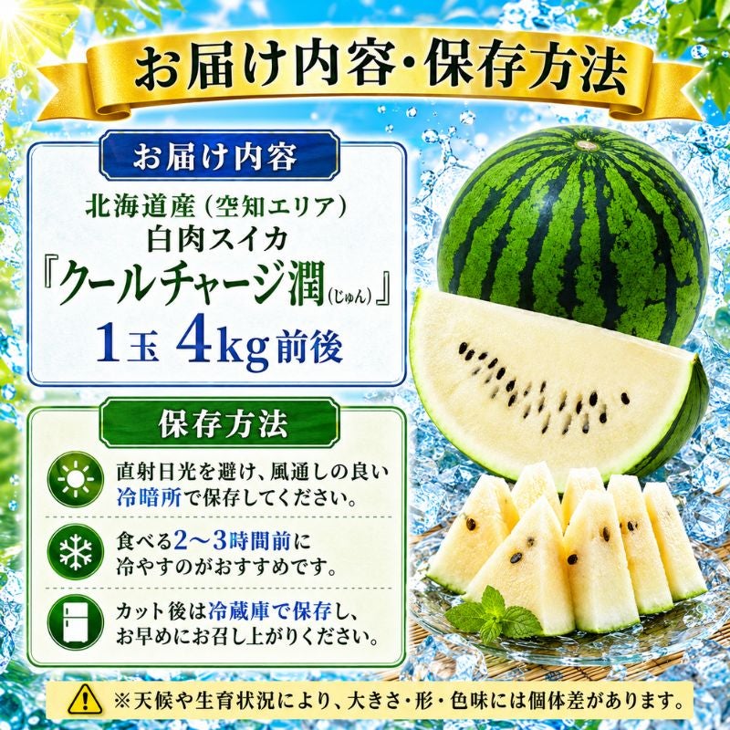 限定50玉】北海道産 幻の白いスイカ「クールチャージ潤（じゅん）」1玉