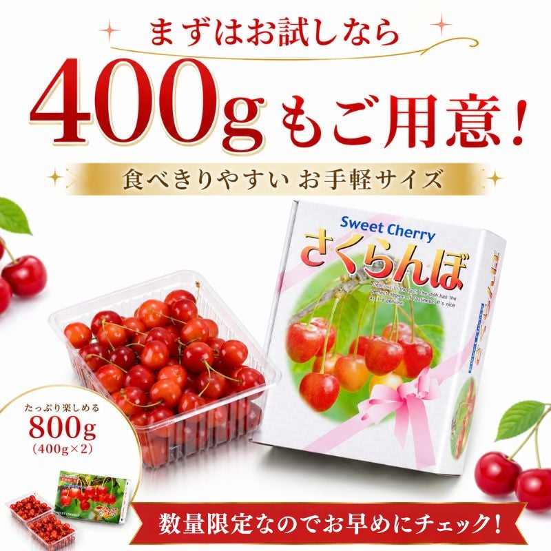 限定15セット】北海道仁木産 紅秀峰(べにしゅうほう) さくらんぼ L～2L