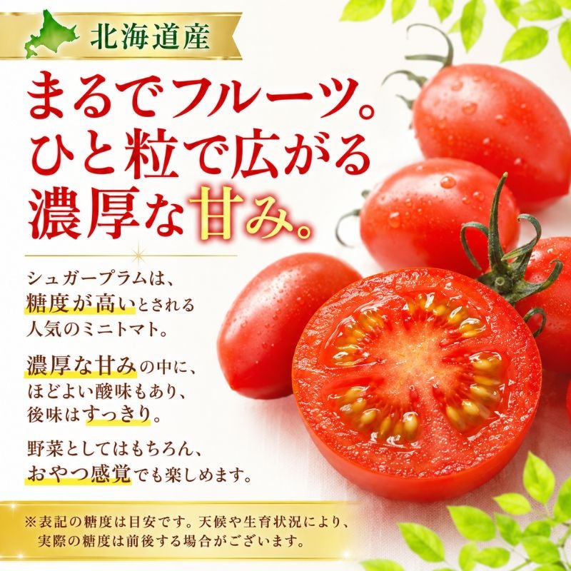 限定150セット】北海道産 シュガープラム ミニトマト 約1kg（70～90粒