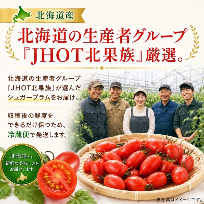 限定150セット】北海道産 シュガープラム ミニトマト 約1kg（70～90粒