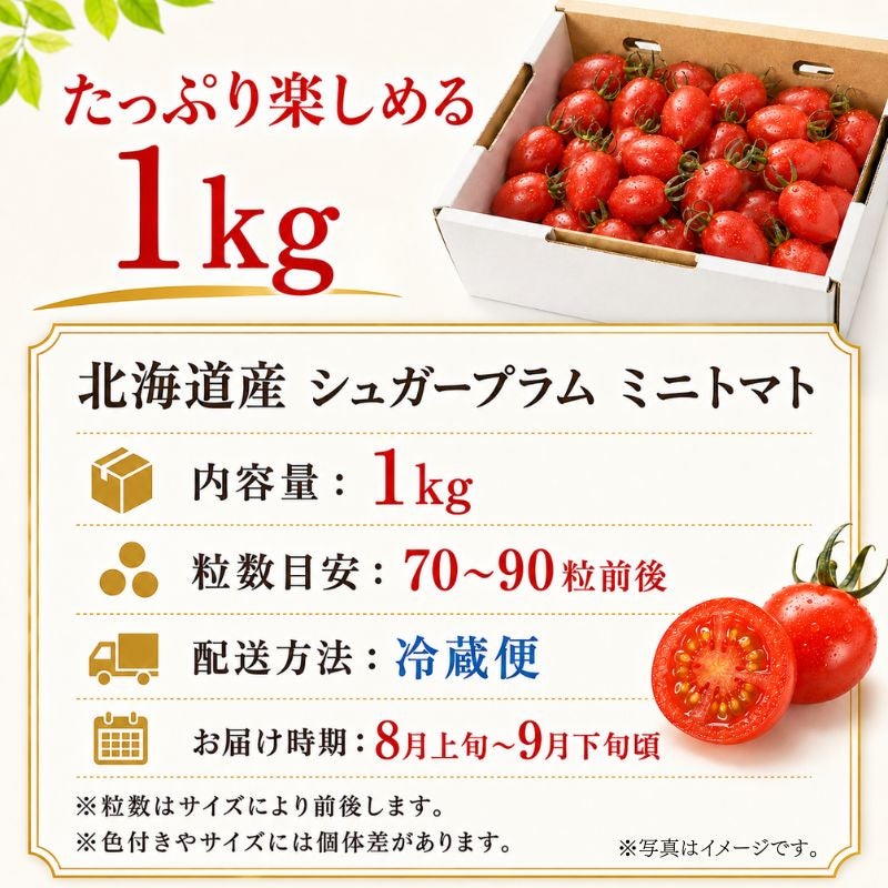 限定150セット】北海道産 シュガープラム ミニトマト 約1kg（70～90粒