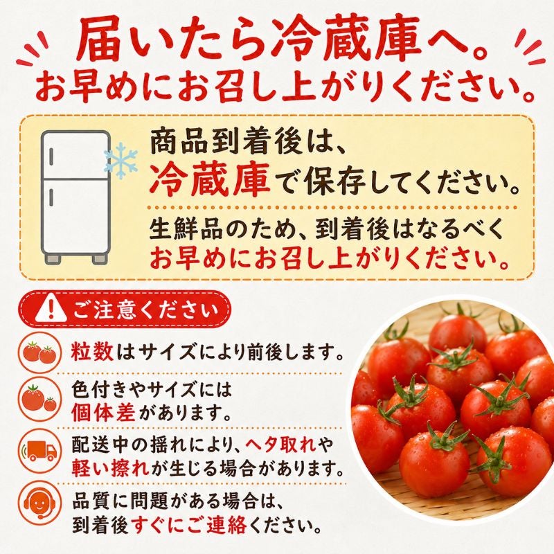 北海道産 甘っこミニトマト 約1kg（70～90粒前後） 産直テーブル