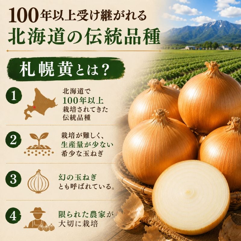 まとめ買い割引】北海道産 吉田農園の札幌黄 玉ねぎ 約3kg（12～18玉