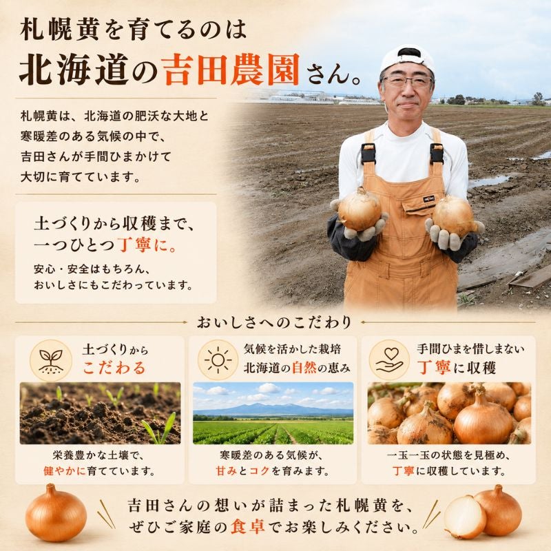まとめ買い割引】北海道産 吉田農園の札幌黄 玉ねぎ 約3kg（12～18玉