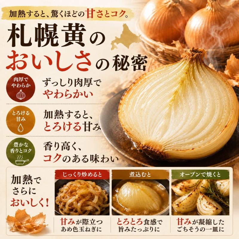まとめ買い割引】北海道産 吉田農園の札幌黄 玉ねぎ 約3kg（12～18玉