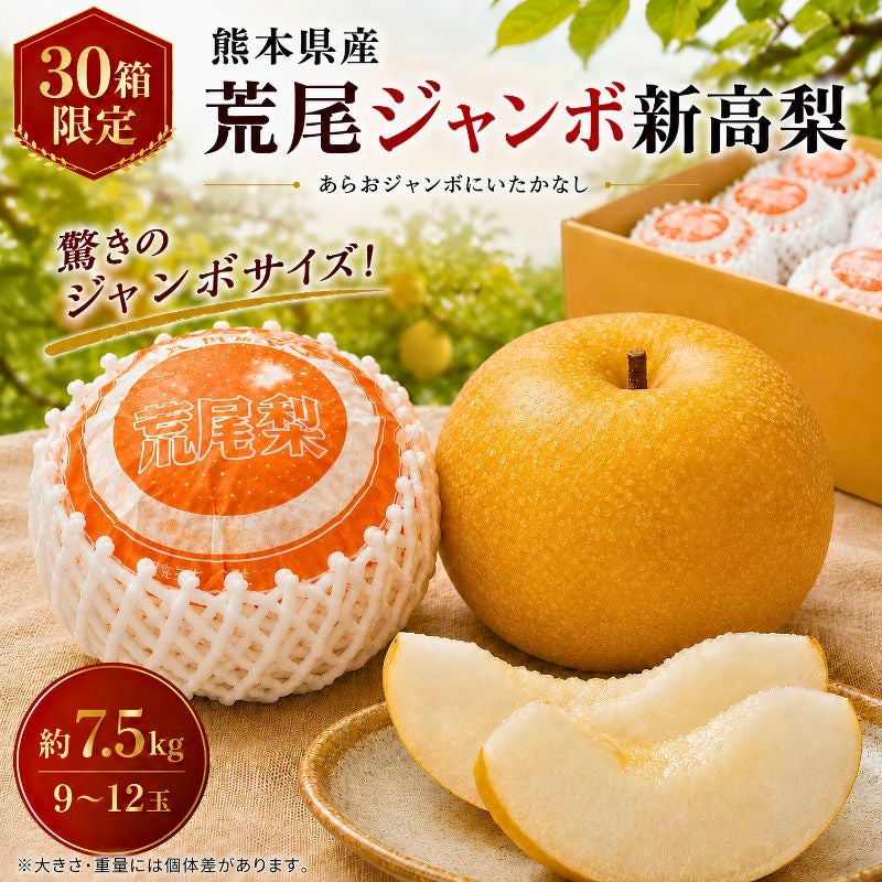 限定30セット】熊本県産 荒尾ジャンボ新高梨（にいたか） 約7.5kg（9