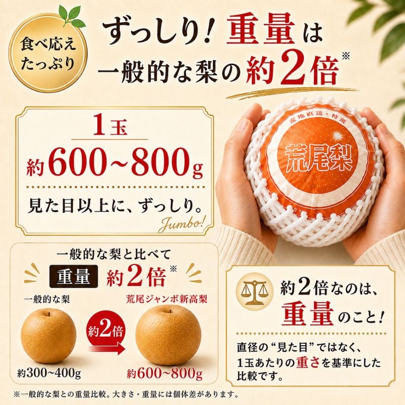 限定30セット】熊本県産 荒尾ジャンボ新高梨（にいたか） 約7.5kg（9