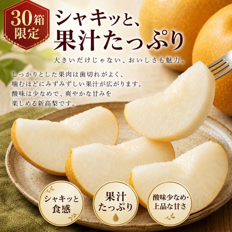 限定30セット】熊本県産 荒尾ジャンボ新高梨（にいたか） 約7.5kg（9