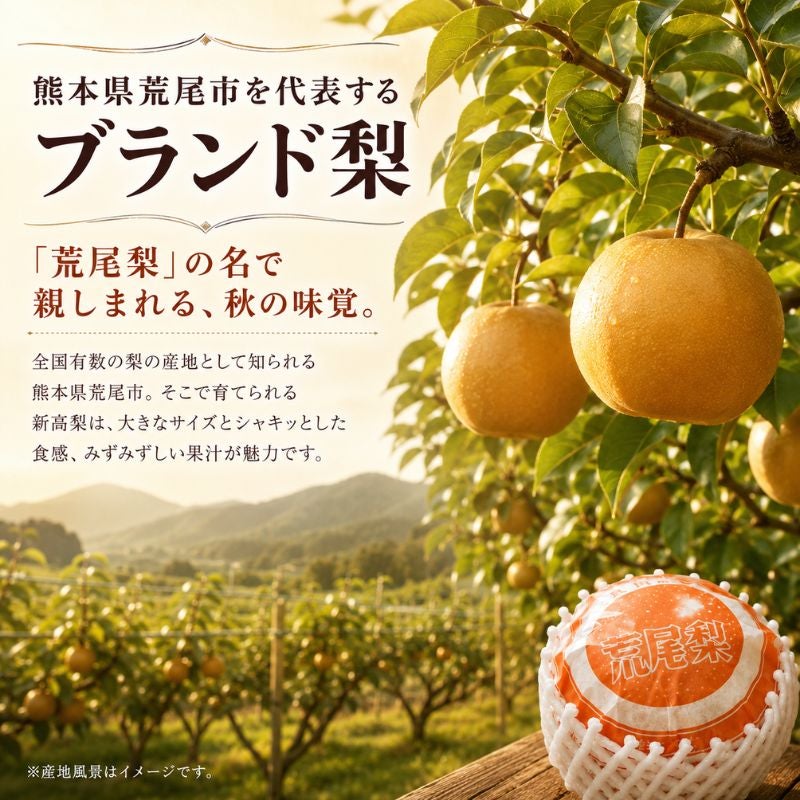 限定30セット】熊本県産 荒尾ジャンボ新高梨（にいたか） 約7.5kg（9