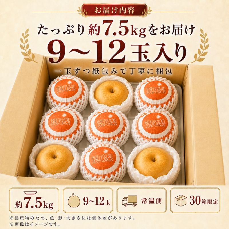 限定30セット】熊本県産 荒尾ジャンボ新高梨（にいたか） 約7.5kg（9