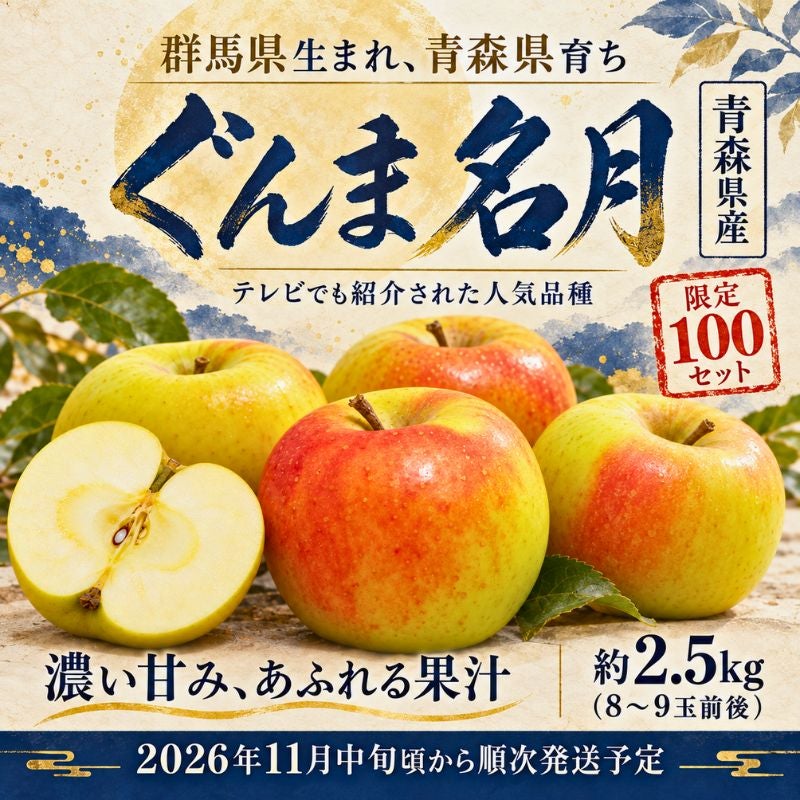 限定100セット】青森県産りんご「ぐんま名月」約2.5kg（8～9玉前後